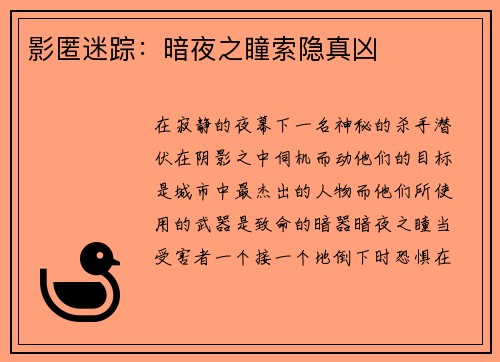 影匿迷踪：暗夜之瞳索隐真凶